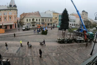 Košice, vianočný stromček