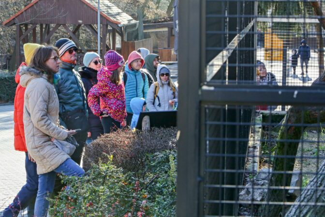 BRATISLAVA: Komentované kŕmenie zvierat v ZOO