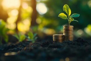 Investment Ideas and Business Growth Coins stacked on the ground with a digital graph Green business growth Finance sustainable development Investing in renewable energy is crucial for : Generative AI