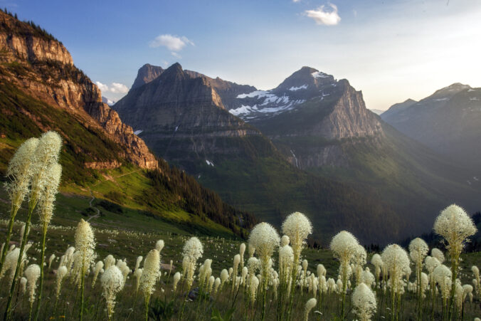 Glacier National Park - Highline Trail with Mount Oberline and beargrass