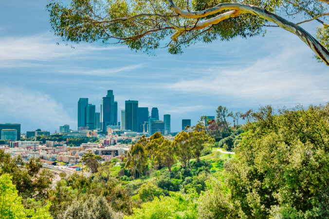 Los Angeles skyline is surrounded by trees from Elysian Park