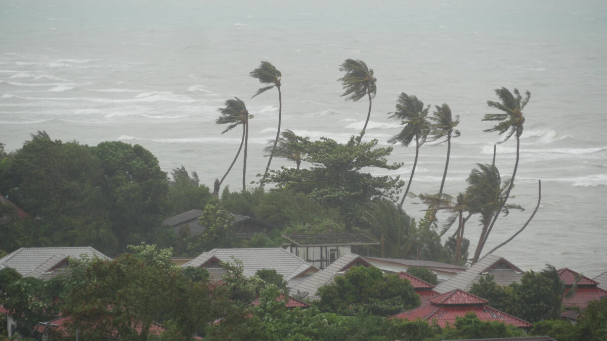 Pabuk typhoon, ocean sea shore, Thailand. Natural disaster, eyewall hurricane. Strong extreme cyclone wind sways palm trees. Tropical flooding rain season, heavy tropical storm weather, thunderstorm