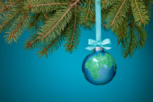 Globe Christmas Ornament hanging