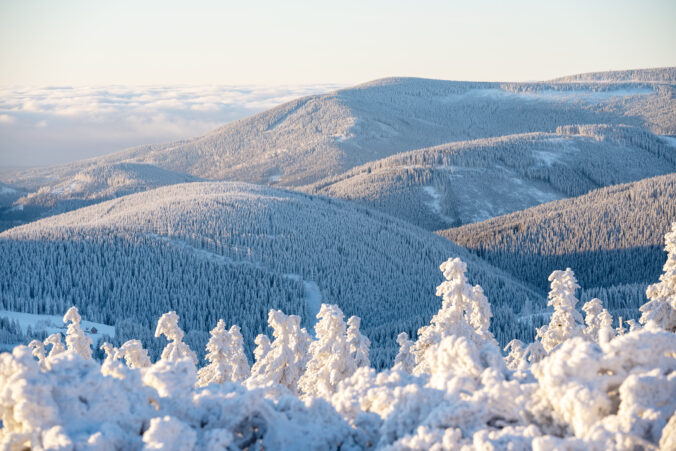 Winter sunny morning in mountains