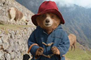 Paddington in PADDINGTON IN PERU.