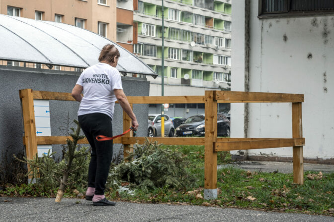 BRATISLAVA: Zber vianočných stromčekov