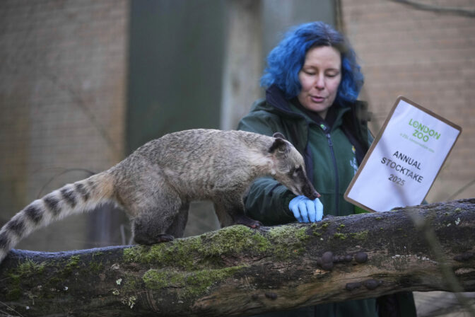 Inventúra v londýnskej ZOO