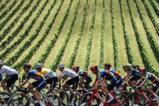 Cyklistika: Tour Down Under