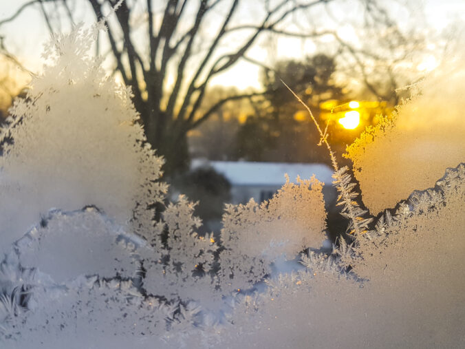 Feathered ice crystals