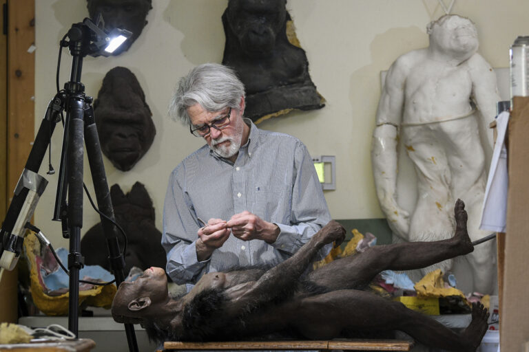 Ancient Humans New Picture