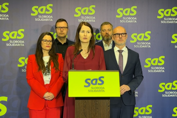 Holečková, Gröhling, SaS, jednorodičia