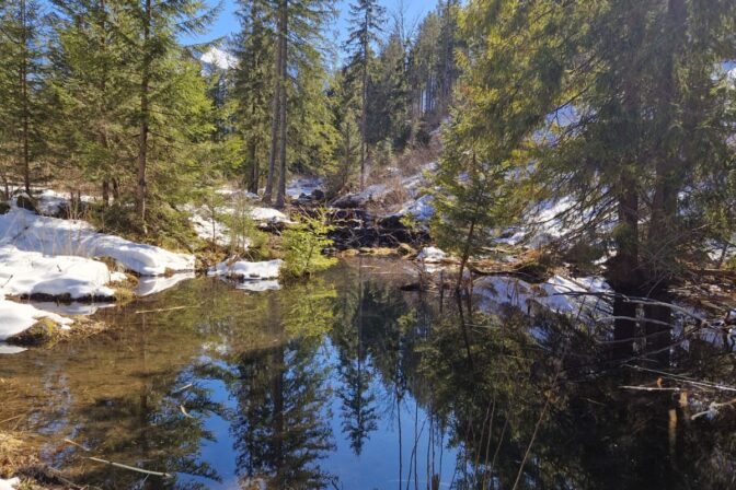 VYSOKÉ TATRY: Ohrozené zdroje pitnej vody