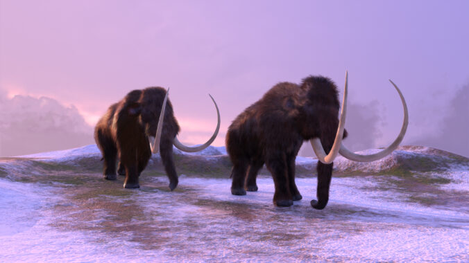 3D illustration of two mammoths