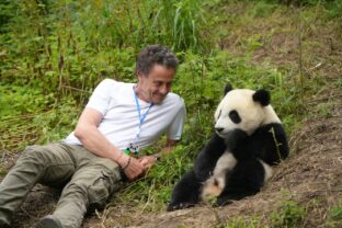 Gilles de maistre a panda zdroj bontonfilm.jpg