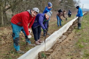 Dobrovoľníci pri vodnej nádrži Striebornica stavajú ochranné bariéry, ktoré pomáhajú ropuchám bezpečne migrovať bez rizika zrážky autami.