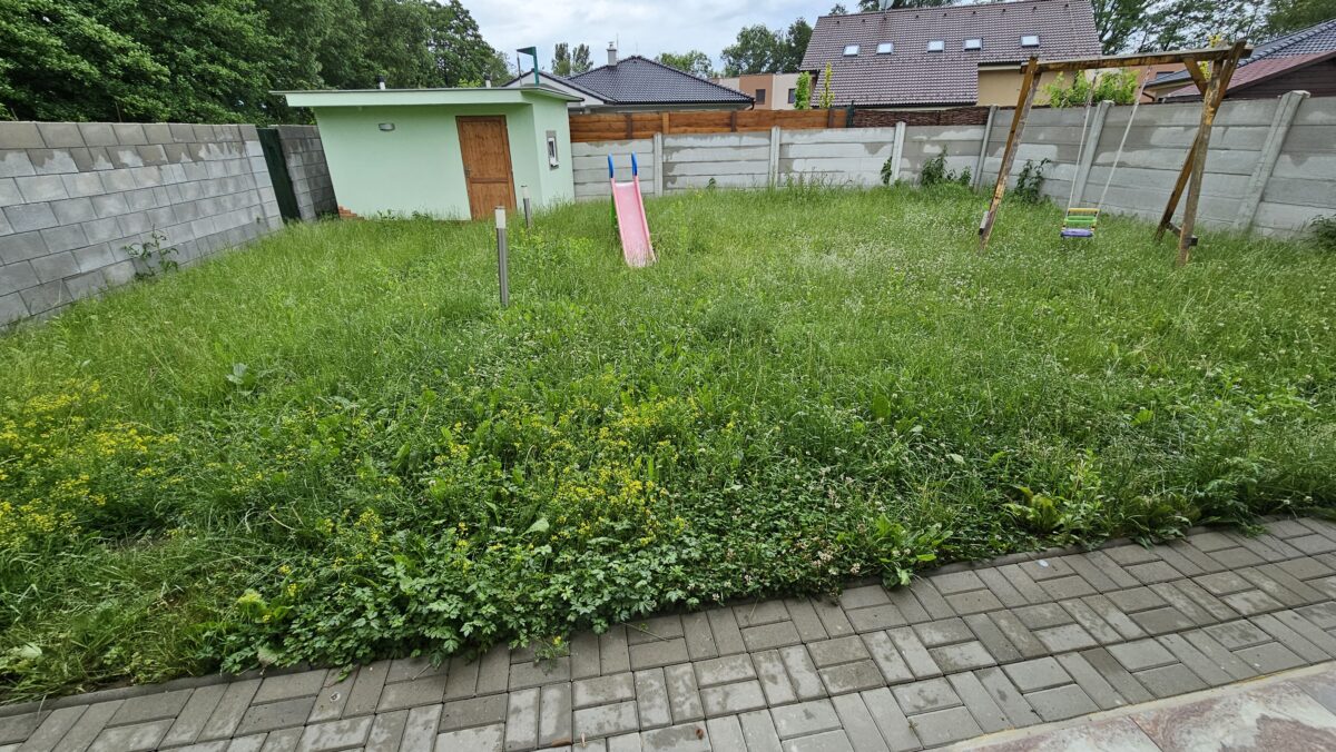 Burina