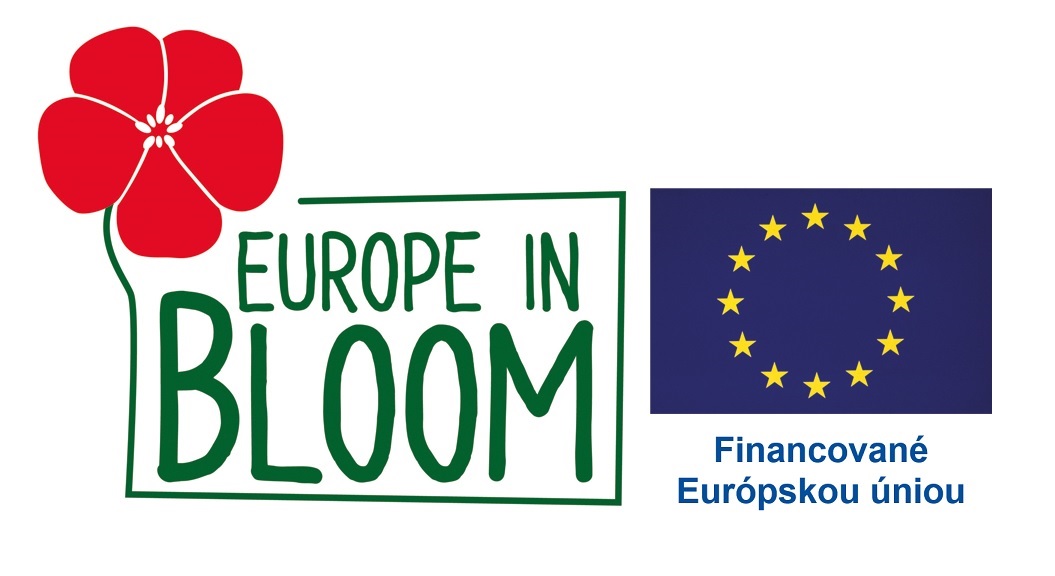 Eu logo_eib logo_no disclaimer.jpg