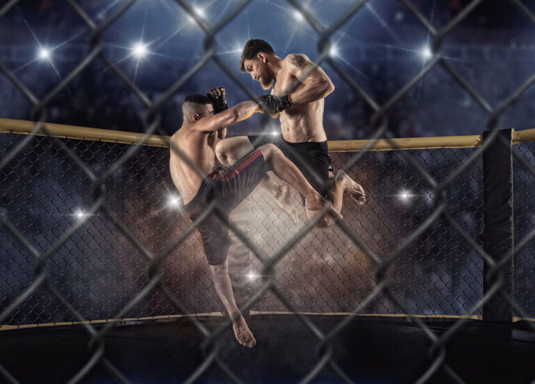 MMA boxers fighters fight in fights without rules