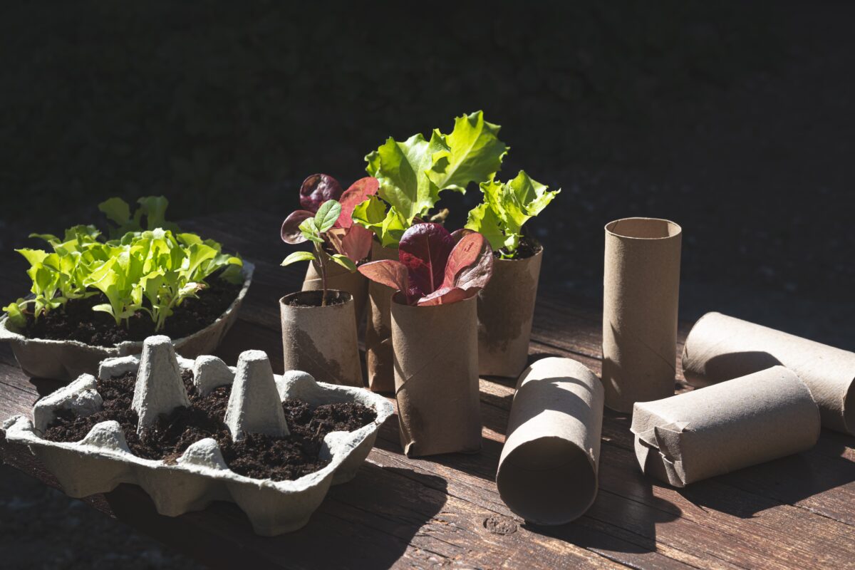 rolky ako pomôcka na sadenie