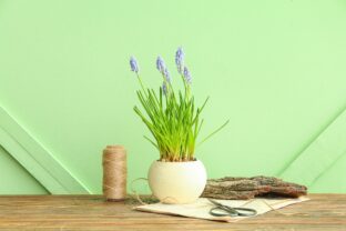 Vynovte staré kvetináče