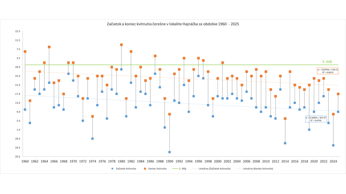 Začiatok a koniec kvitnutia čerešne v lokalite Hajnáčka za obdobie 1960 - 2025
