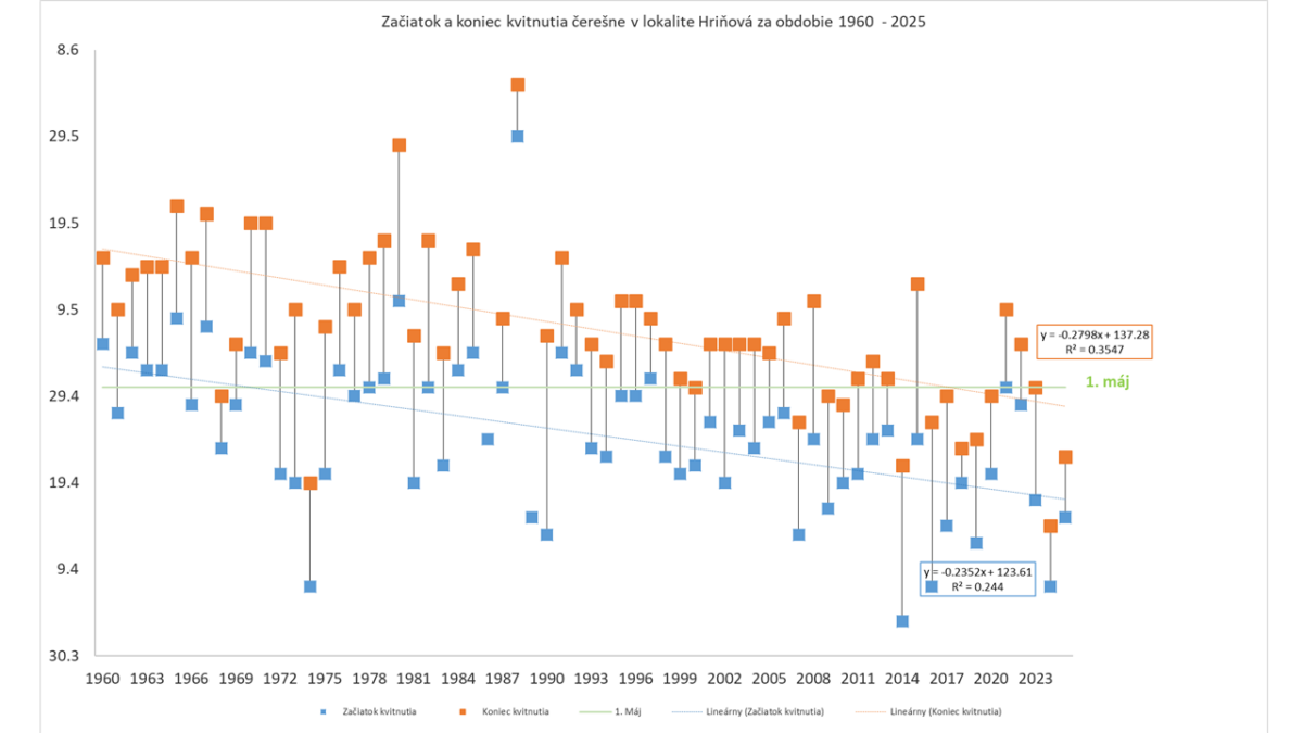 Začiatok a koniec kvitnutia čerešne v lokalite Hriňová za obdobie 1960 - 2025