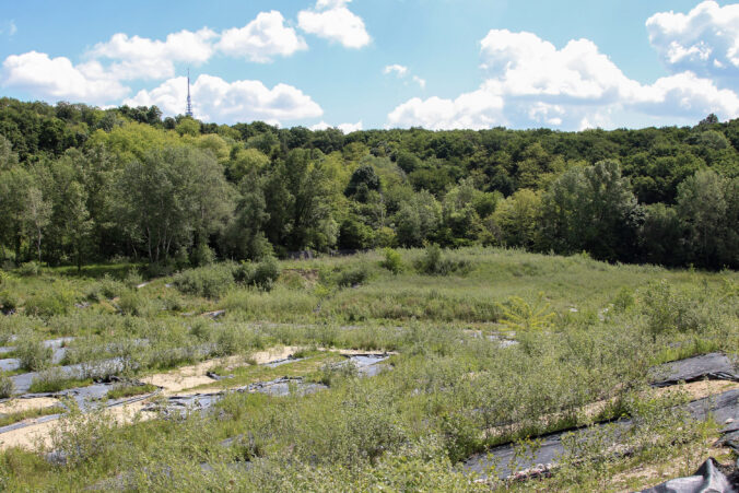 Nemocnica Rázsochy