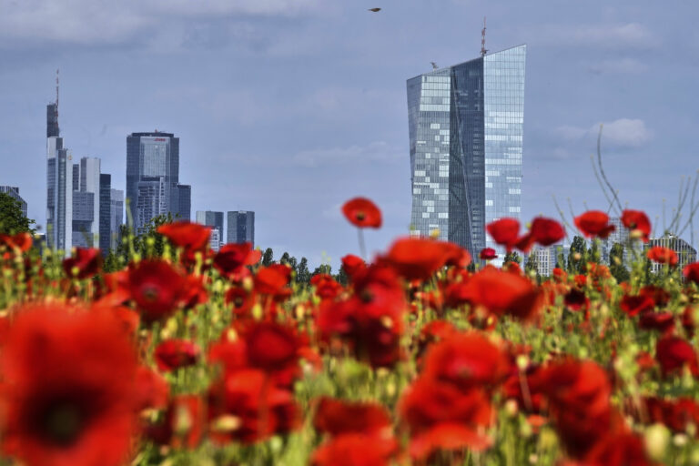 mrakodrapy maky kvety Európska centrálna banka