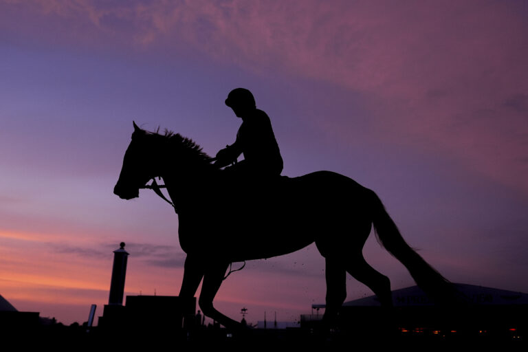 kôň obloha jazdec džokej silueta