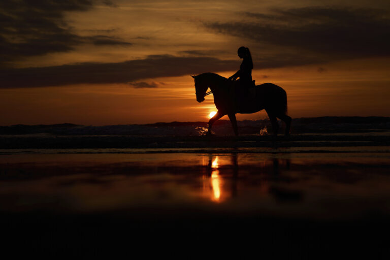 kôň jazdec silueta západ slnko pláž