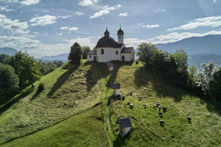 alpaky ovce kaplna lúka tráva obloha oblaky