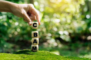 The first carbon tariff system, the EU Carbon Border Adjustment Mechanism (CBAM).