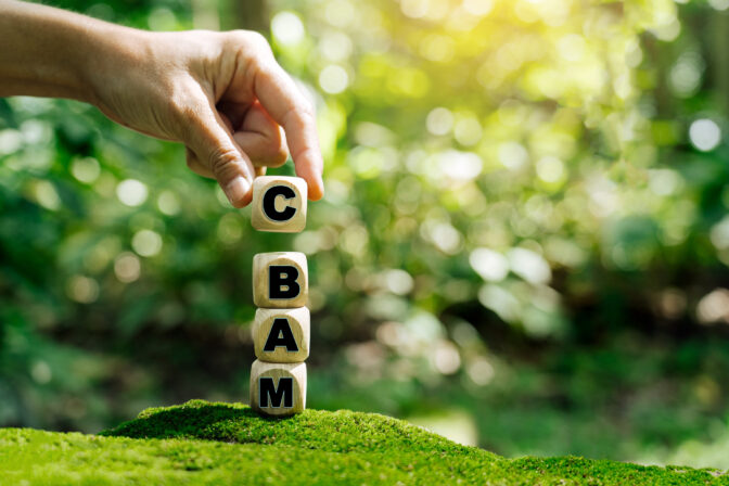 The first carbon tariff system, the EU Carbon Border Adjustment Mechanism (CBAM).