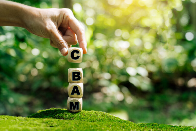The first carbon tariff system, the EU Carbon Border Adjustment Mechanism (CBAM).