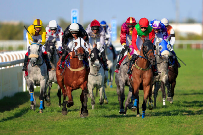 Horses Running On Field