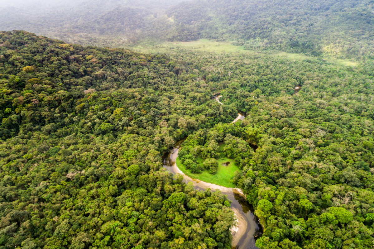 Aerial View of Amazon Rainforest, South America