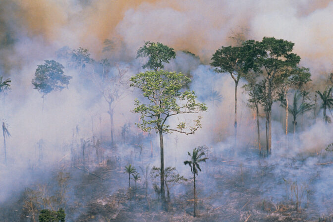 Amazon fires