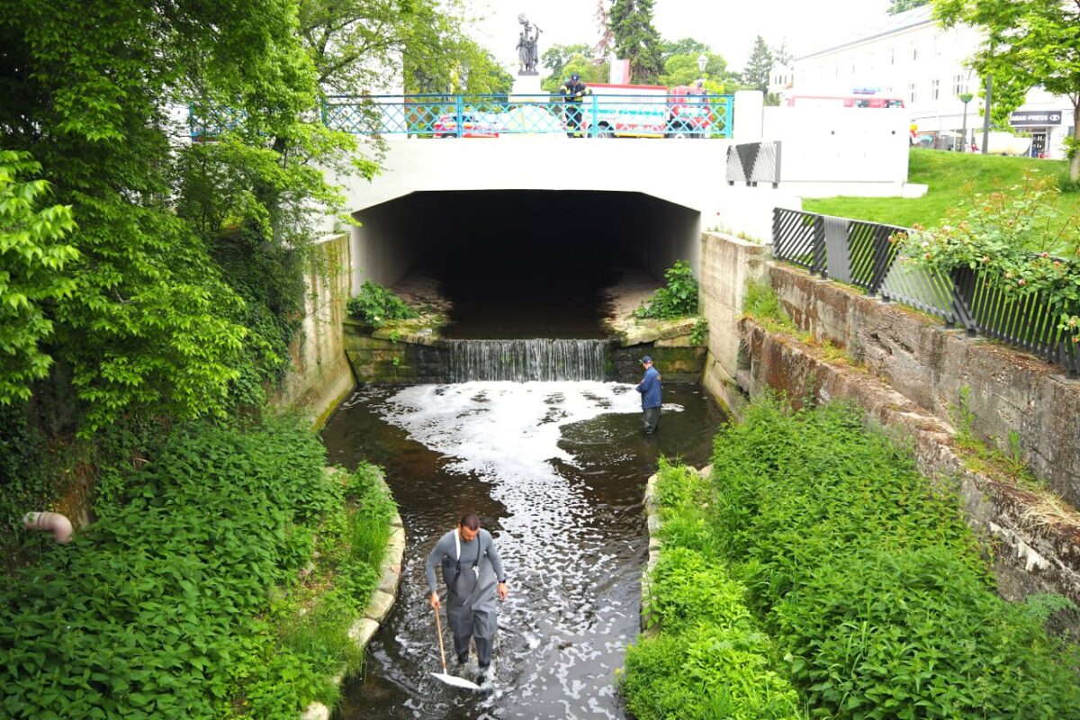 Pena, Trnava