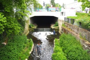 Pena, Trnava