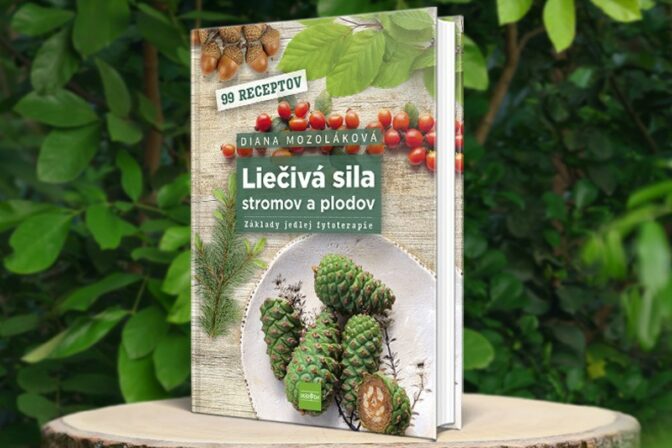 Lieciva sila2.jpg