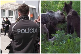 Polícia, pátranie