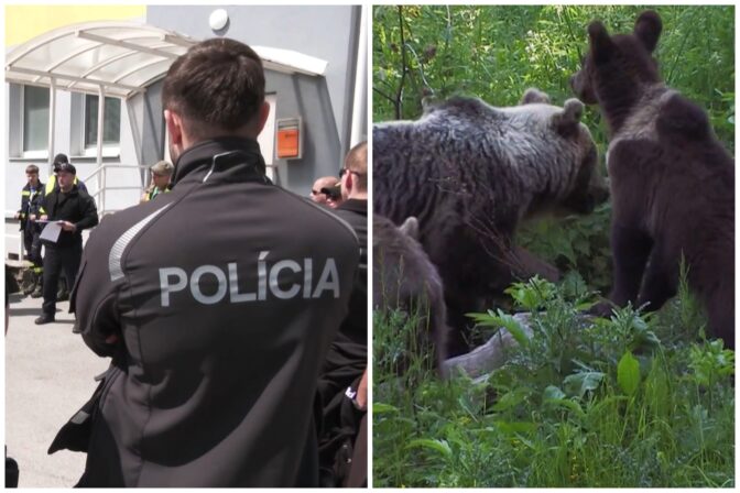 Polícia, pátranie