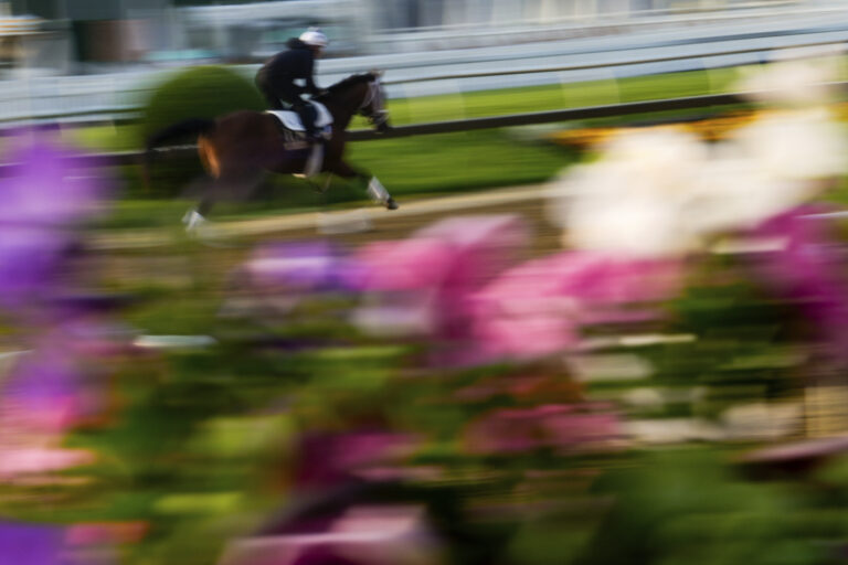 kôň jazdec džokej