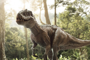 Tyrannosaurus Rex