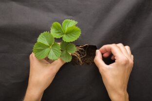 textília na záhradu