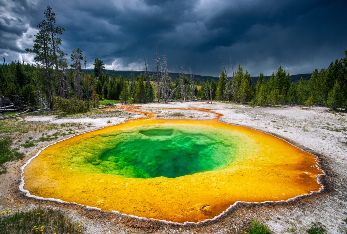 Yellowstone