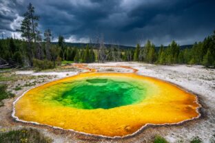 Yellowstone