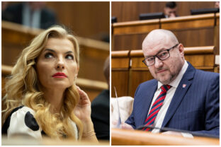 Šimkovičová, Huliak, Homofób roka
