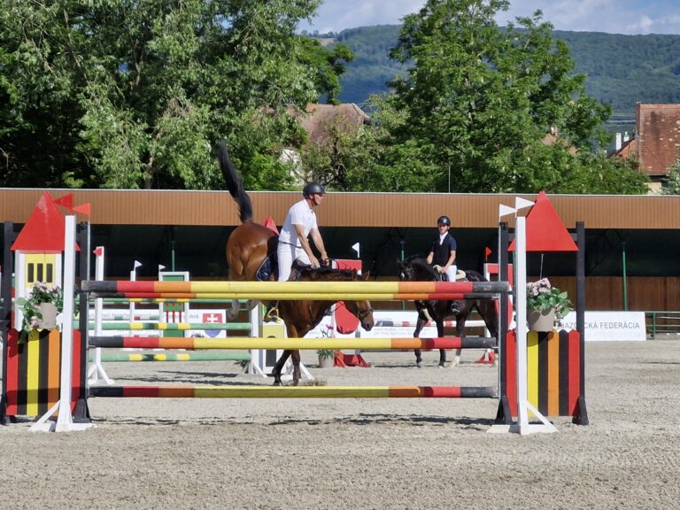 Národný žrebčín Topoľčianky.