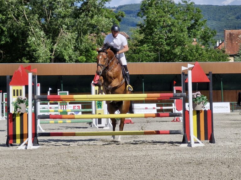 Národný žrebčín Topoľčianky.